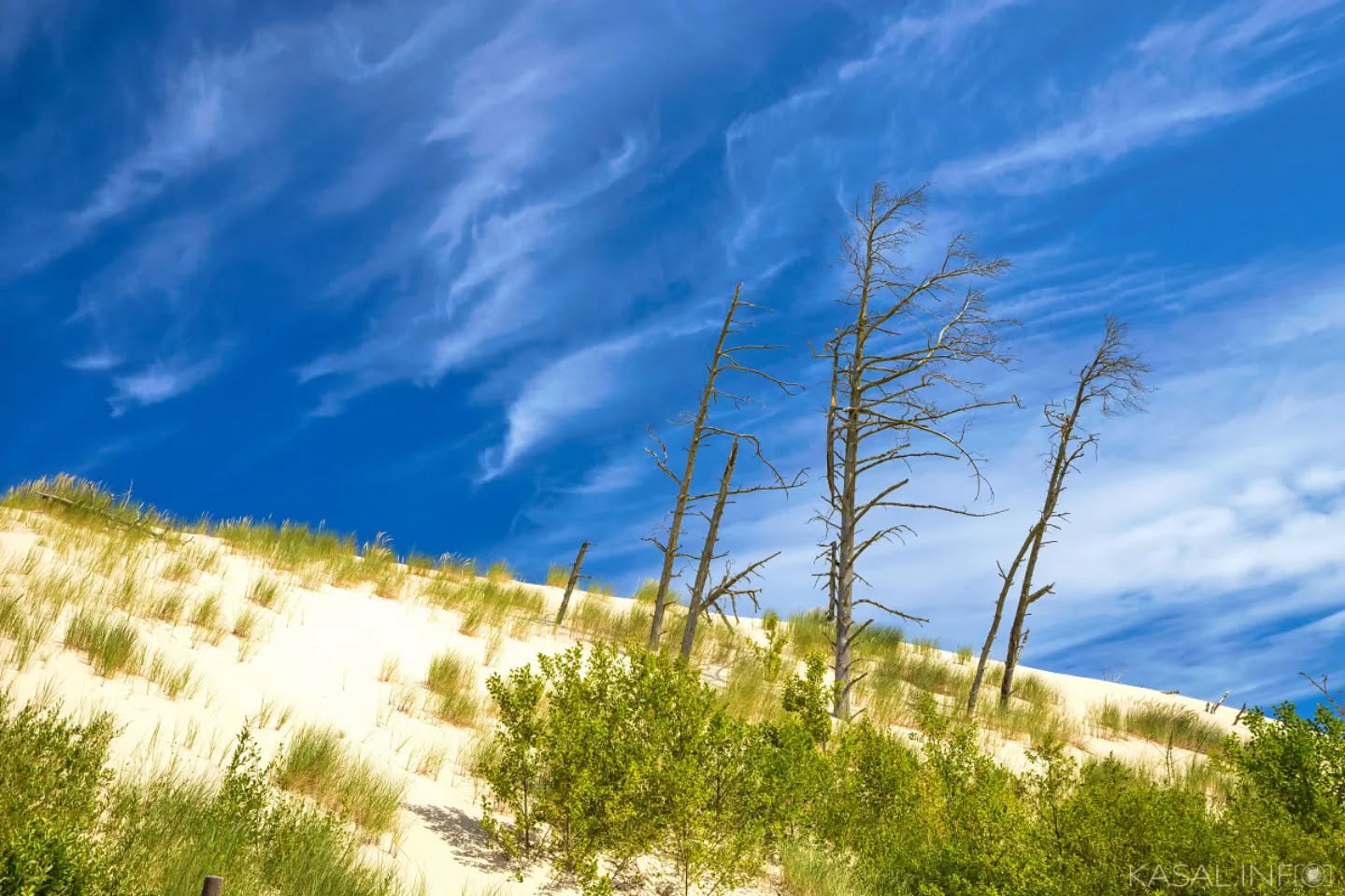 Silence of the Dead Trees
.
.
.
.
.
#natgeotravelphoto #awesomeearth #fantastic_earth #awesome_earthpix #thegreatoutdoors #destinationearth #theglobewanderer #wonderful_places #naturegeography #awesomeglobe #wowplanet #majestic_earth_ #wildernessearth #coastallandscape #seascape #landscapephotography #naturephotography #blueheaven #leba #lebapoland #polandtravel #visitpoland #discoverpoland #balticsea #sanddunes #dune #slowinski #slowinskidunes #zps #zonerstudio