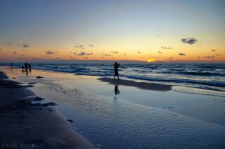 When the day says goodbye
.
.
.
.
.
#zps #zonerstudio #leba #lebapoland #polandtravel #visitpoland #discoverpoland #balticsea #sanddunes #dune #slowinski #slowinskidunes #naturegeography #awesomeglobe #wowplanet #majestic_earth_ #wildernessearth #coastallandscape #seascape #landscapephotography #naturephotography #blueheaven #dunelover #sandandsky #travelpoland #europeanlandscape #natureperfection #photographyeveryday #sunset #beach