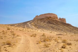 Guardian of the Desert
.
.
A lone sentinel stands watch over the endless sands.
.
.
#Karakalpakstan #Desert #CentralAsia